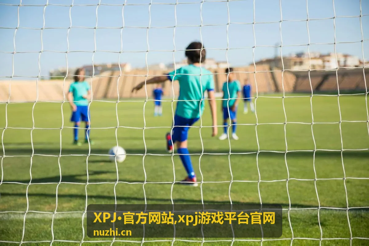 XPJ·官方网站入口说明与平台页面示意