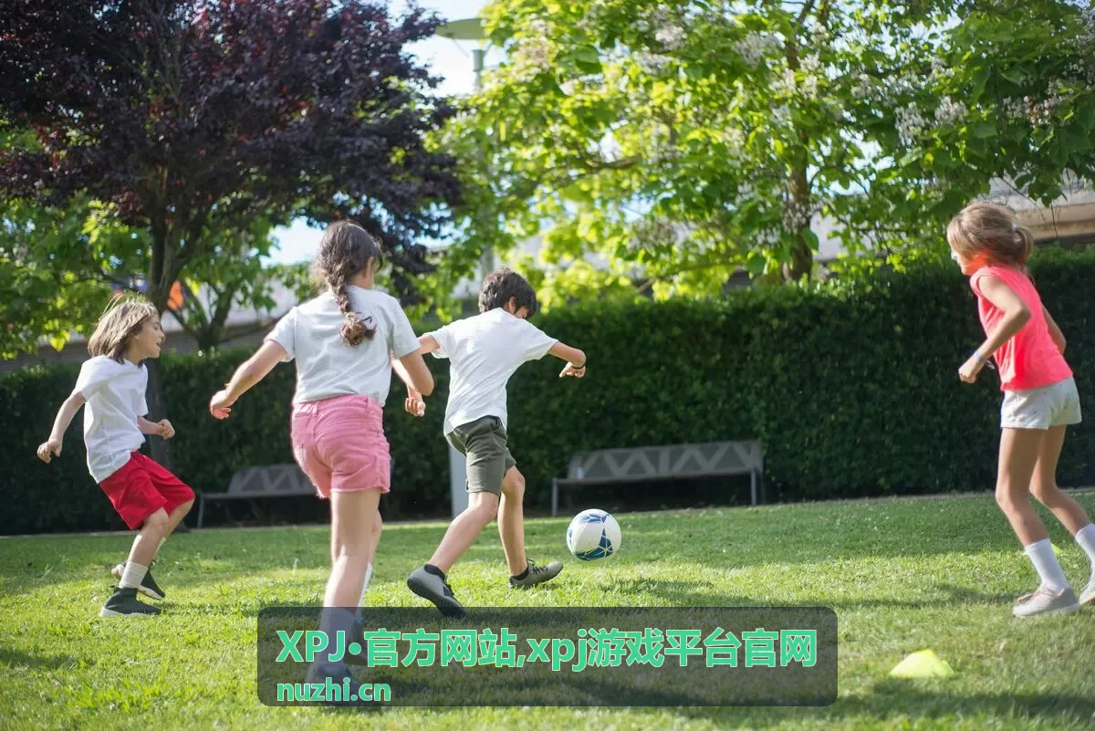 XPJ·官方网站平台入口导航功能示意